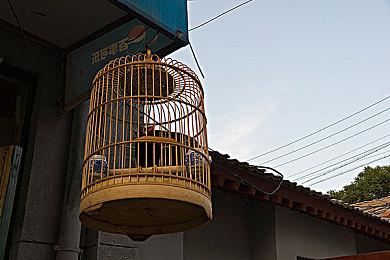 育碧《刺客信条：幻景》全新艺术图泄露